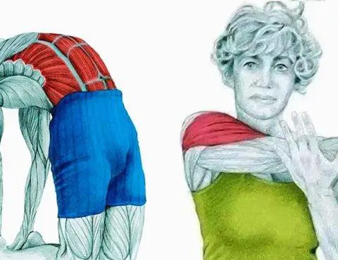 Γνωρίστε τις βασικές διατάσεις!