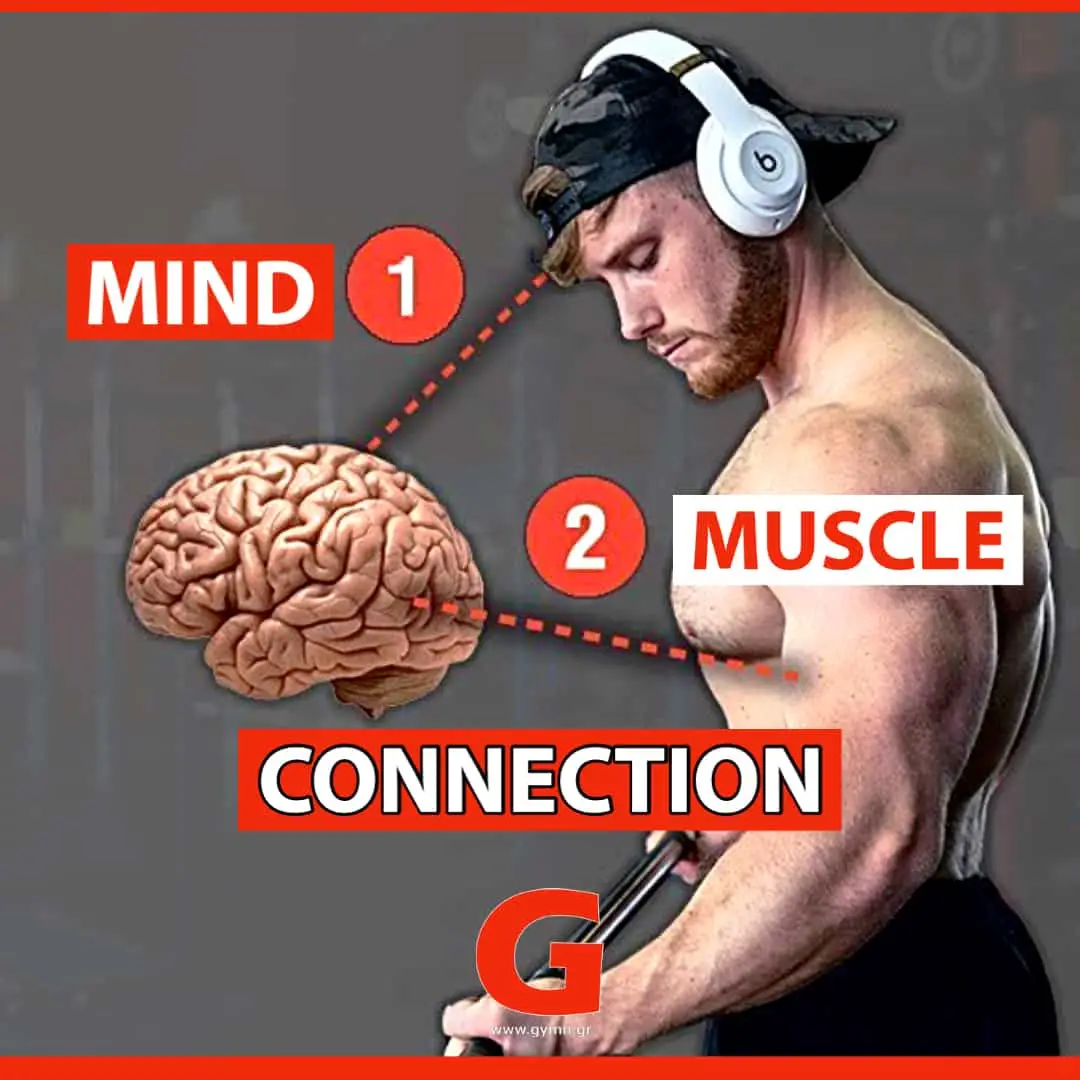 Muscle Mind Connection