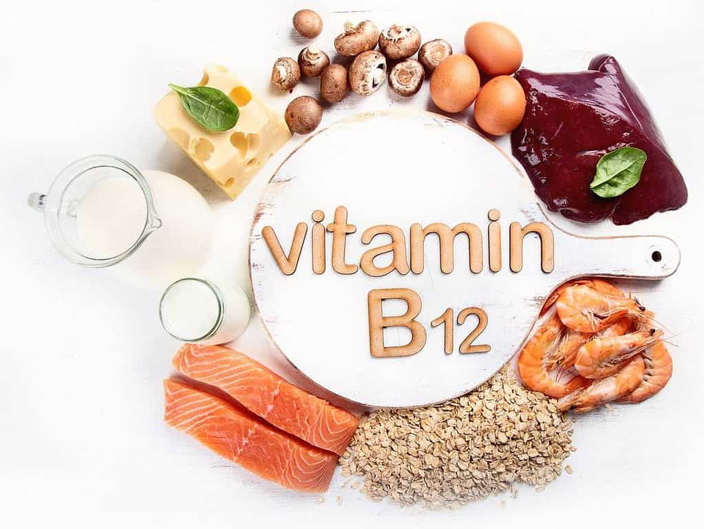 Foods Highest in Vitamin B12 (Cobalamin). Healthy eating