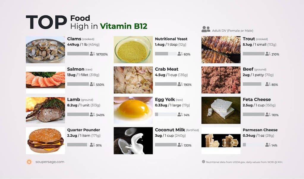 top_food_high_in_vitamin-b12