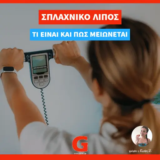 Σπλαχνικό Λίπος