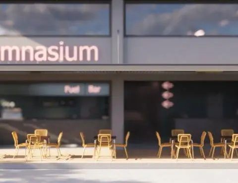 MEET GYMNASIUM ΟΥΛΩΦ ΠΑΛΜΕ 91
