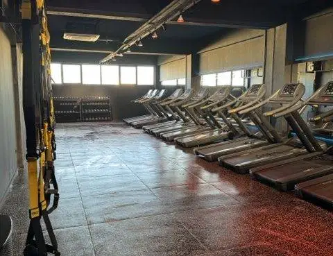 Ομαδικά Τμήματα Ούλωφ Πάλμε
