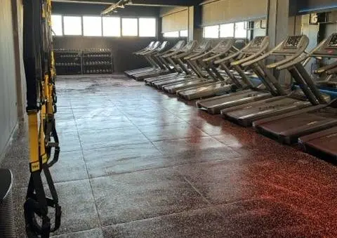 Ομαδικά Τμήματα Ούλωφ Πάλμε